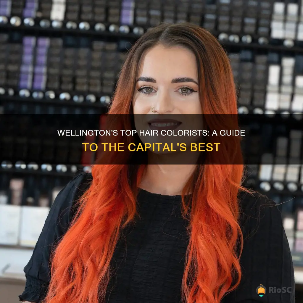 best hair colorist in wellington