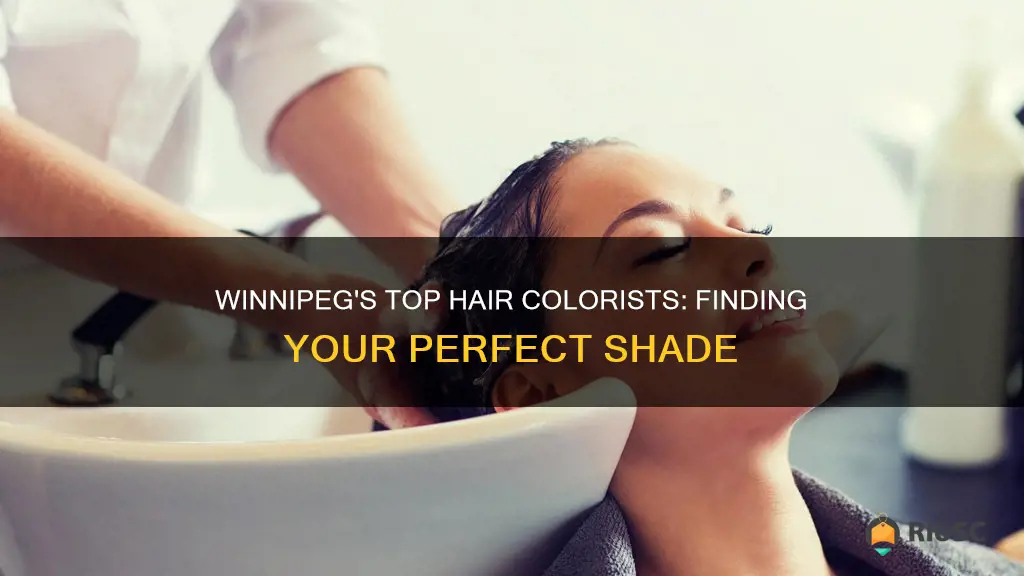 best hair colorist in winnipeg