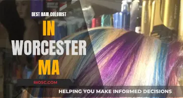 Worcester's Top Hair Colorists: Master Artists for Your Dream Look