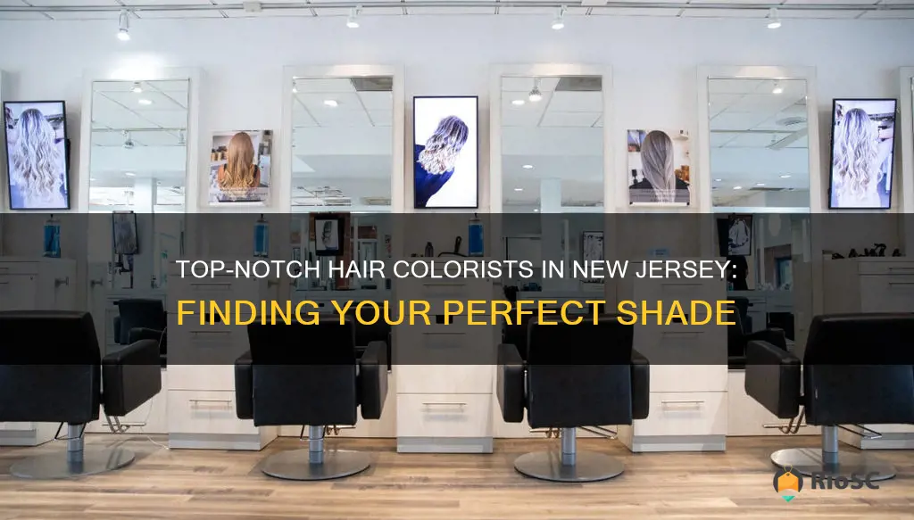 best hair colorist nj