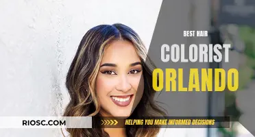 Orlando's Top Hair Colorists: Master Artists for Your Dream Look