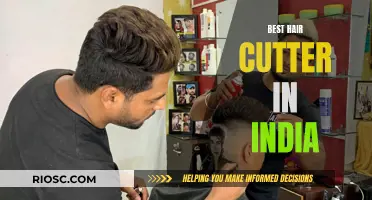 India's Top Clipper: Finding the Ultimate Hair Cutter