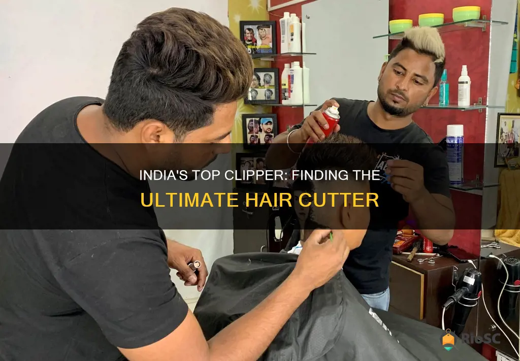 best hair cutter in india