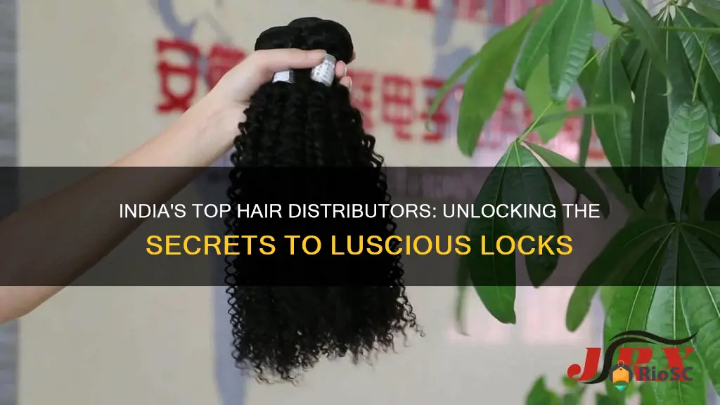 best hair distributors in india