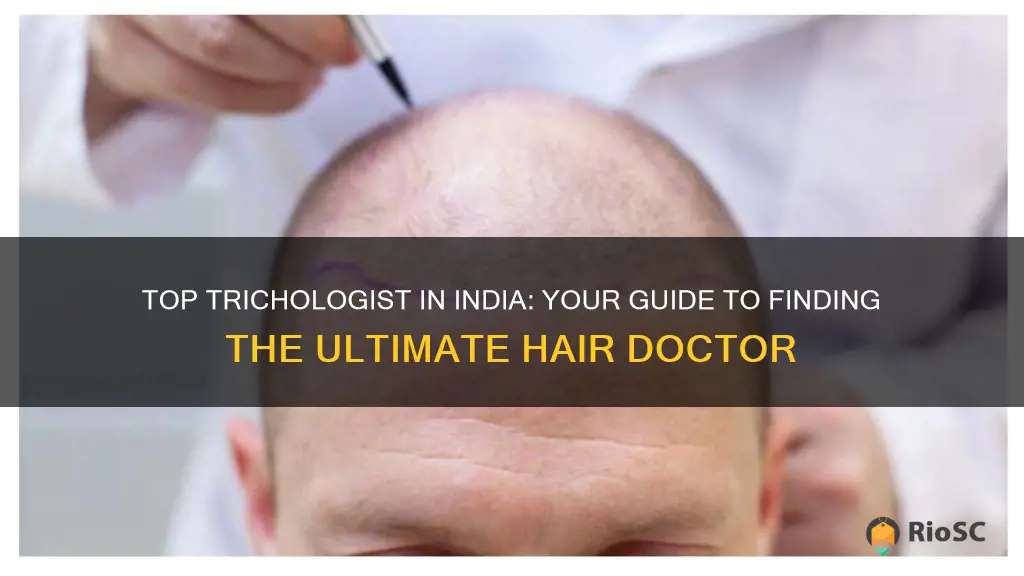 best hair doctor in india