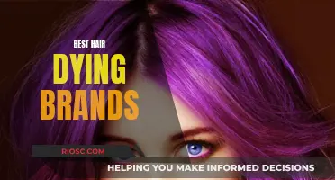 Top-Tier Transformation: Navigating the Best Hair Dye Brands