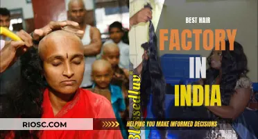 The Quest for the Ultimate Hair: Unveiling India's Top Hair Factory