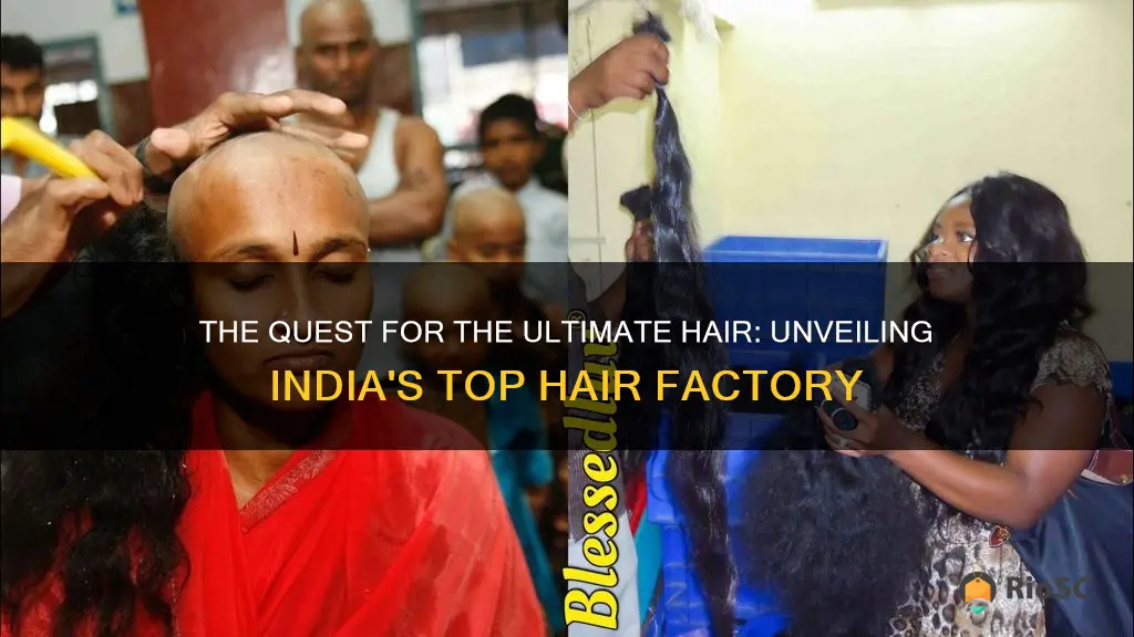 best hair factory in india