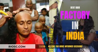 The Quest for the Ultimate Hair: Unveiling India's Top Hair Factory