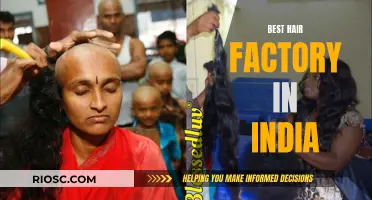 The Quest for the Ultimate Hair: Unveiling India's Leading Hair Factory