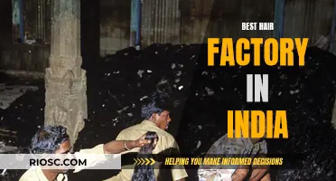 The Ultimate Guide to India's Leading Hair Factory