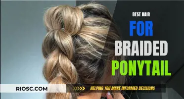 The Ultimate Guide to Braided Ponytails: Choosing the Best Hair Type for Your Style