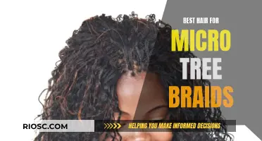 Micro Tree Braids: Choosing the Right Hair Texture for Natural-Looking Styles