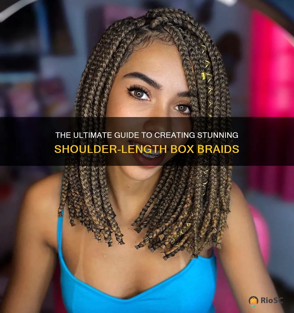 best hair for shoulder lenght box braids