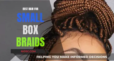 Small Box Braids: Choosing the Right Hair Texture for Your Style