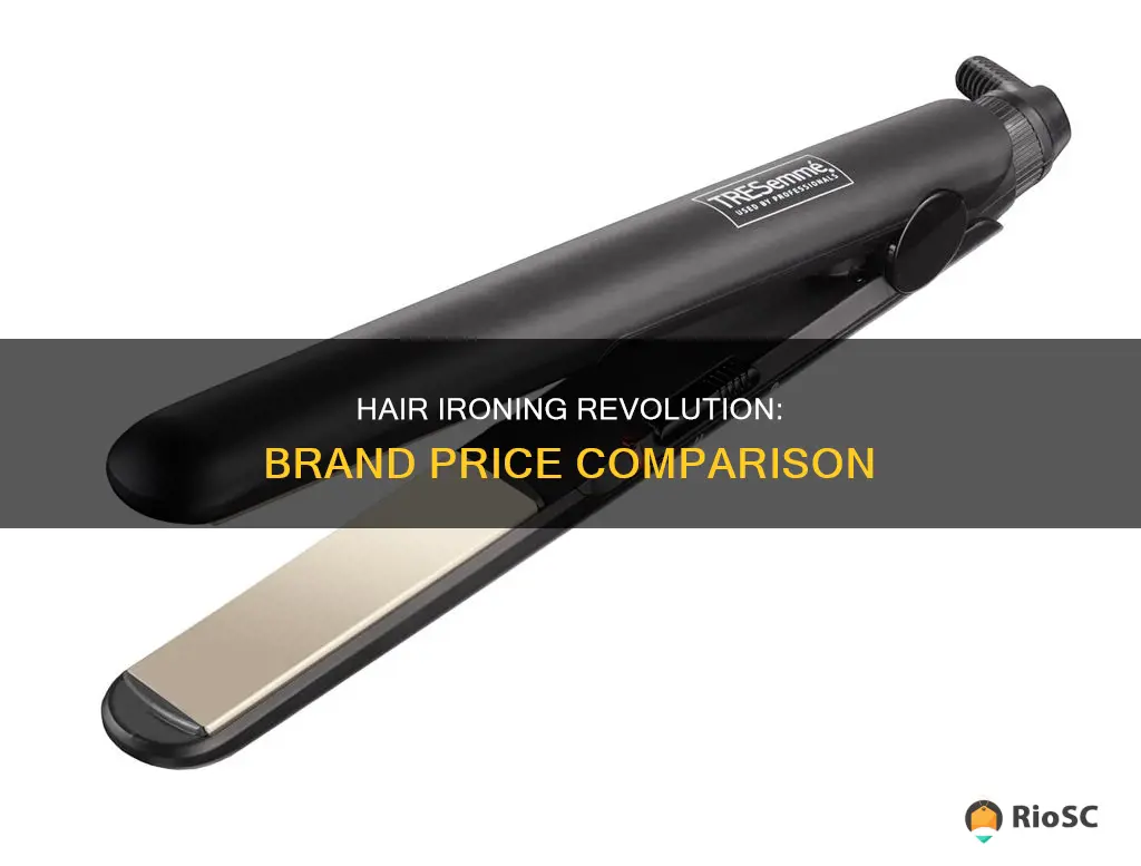 best hair iron brand price