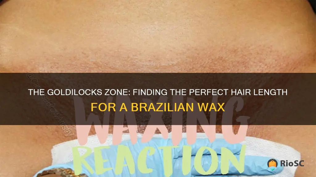 best hair length for a brazilian wax