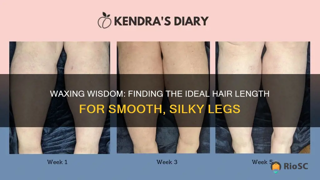 best hair length for waxing legs