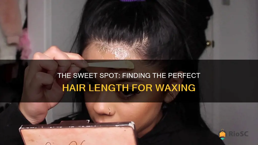 best hair length for waxing