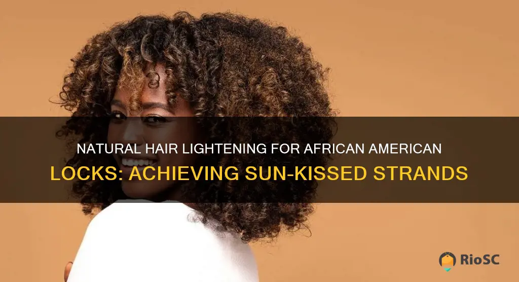 best hair lightener for african american hair