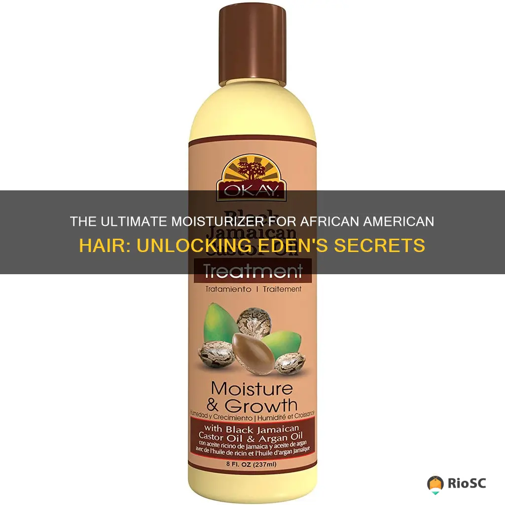 best hair moisturizer african american hair eden