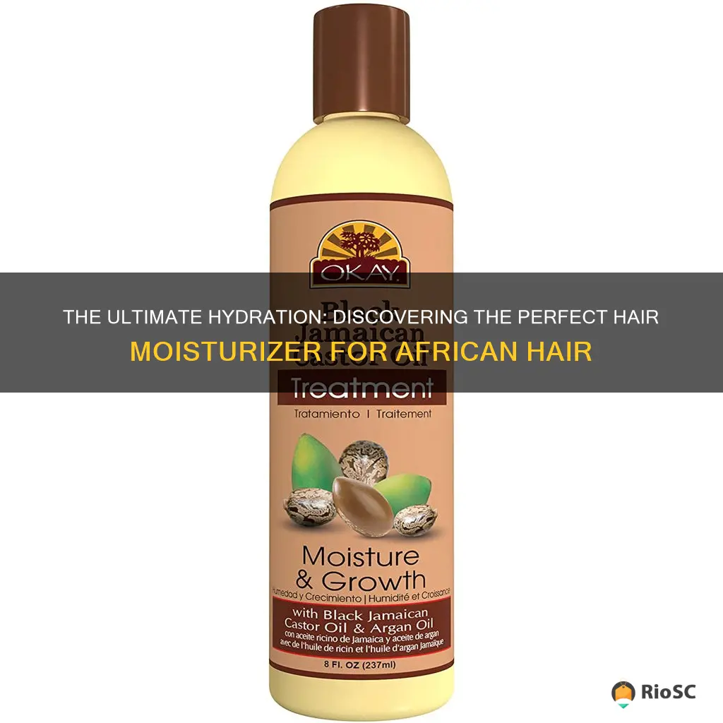 best hair moisturizer for african hair