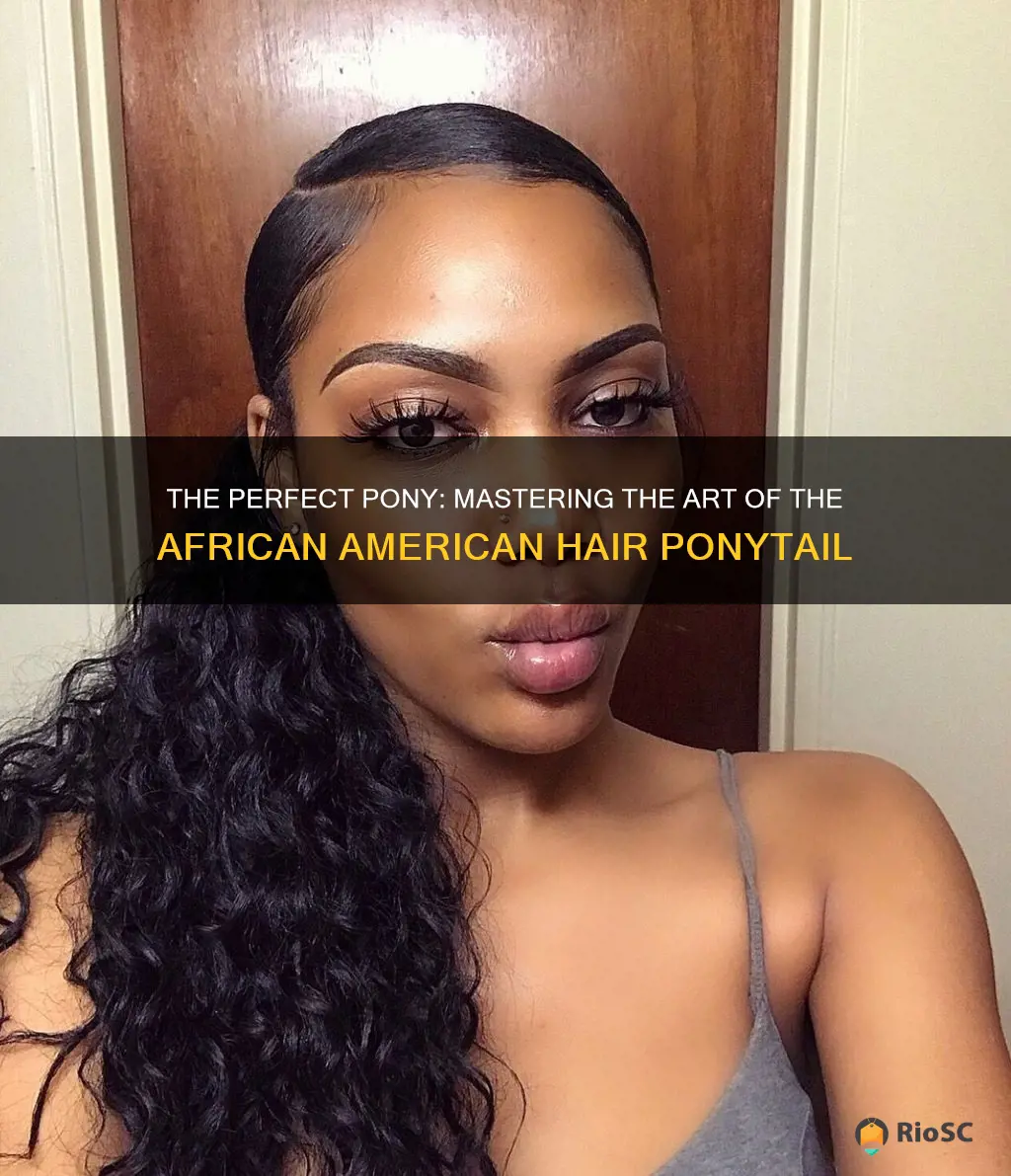 best hair pony tails african american