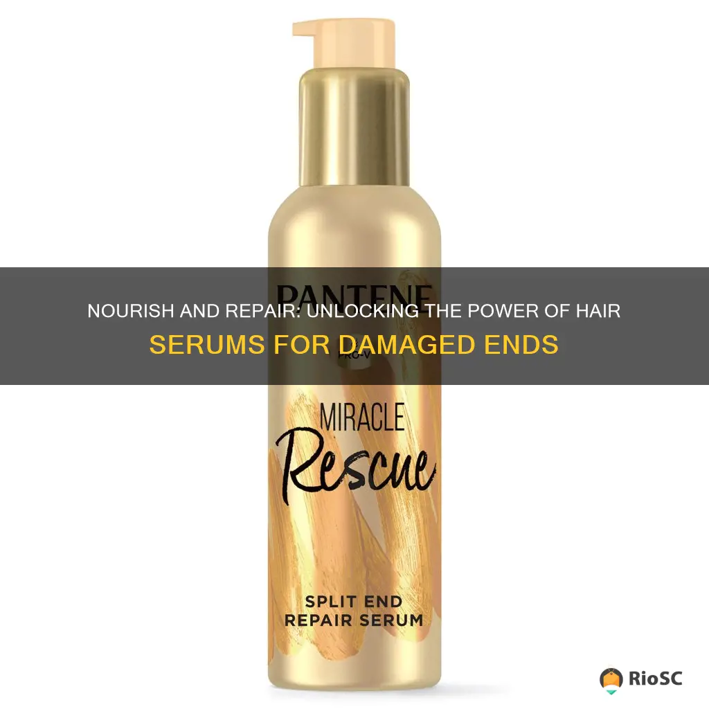 best hair serum for damaged ends