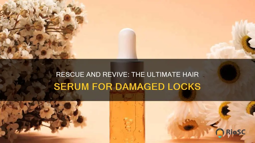 best hair serum for damaged hair