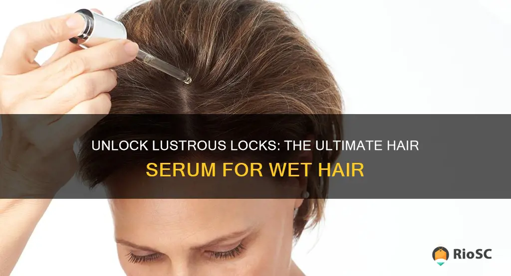 best hair serum for wet hair