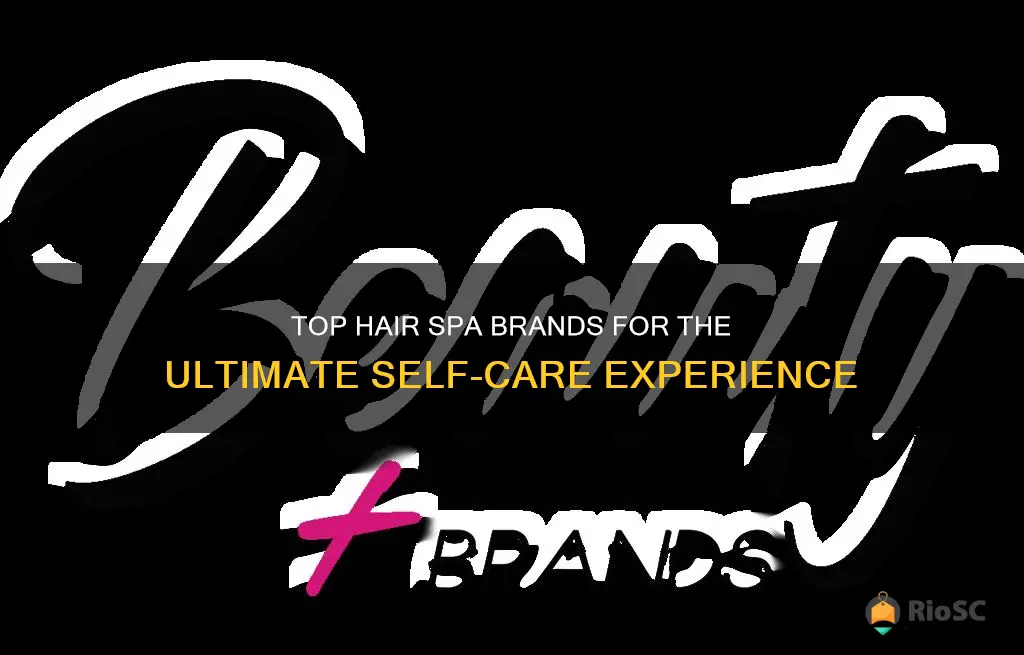 best hair spa brand