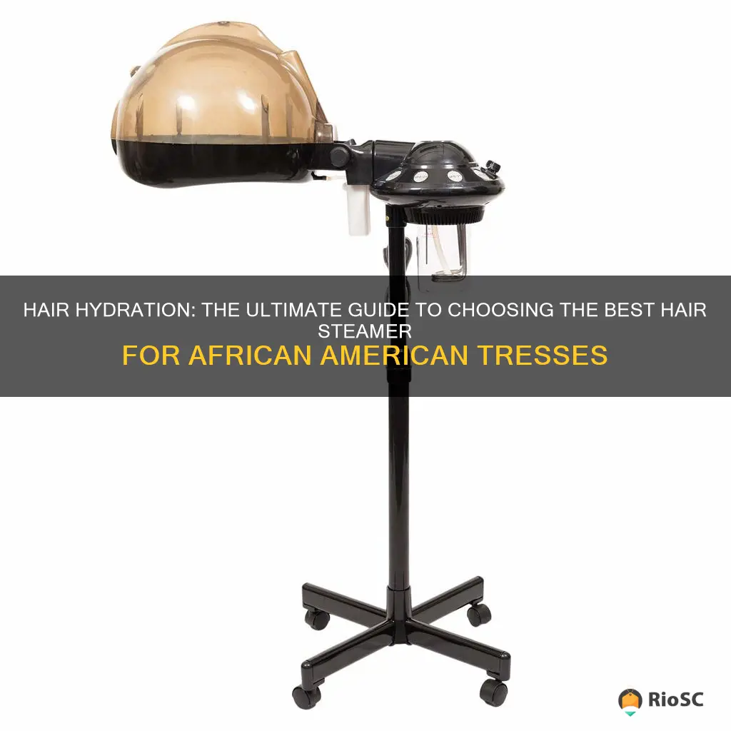 best hair steamer for african american hair