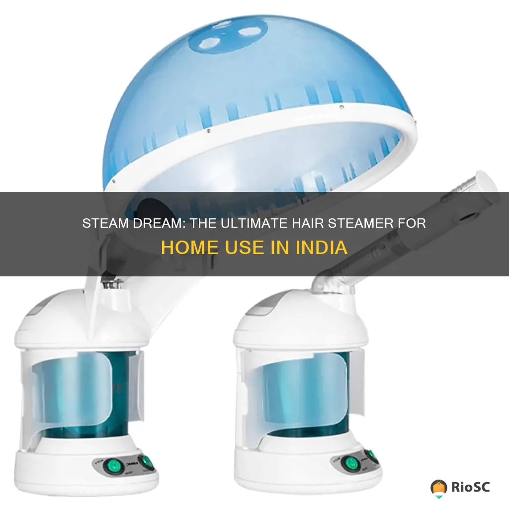 best hair steamer for home use in india