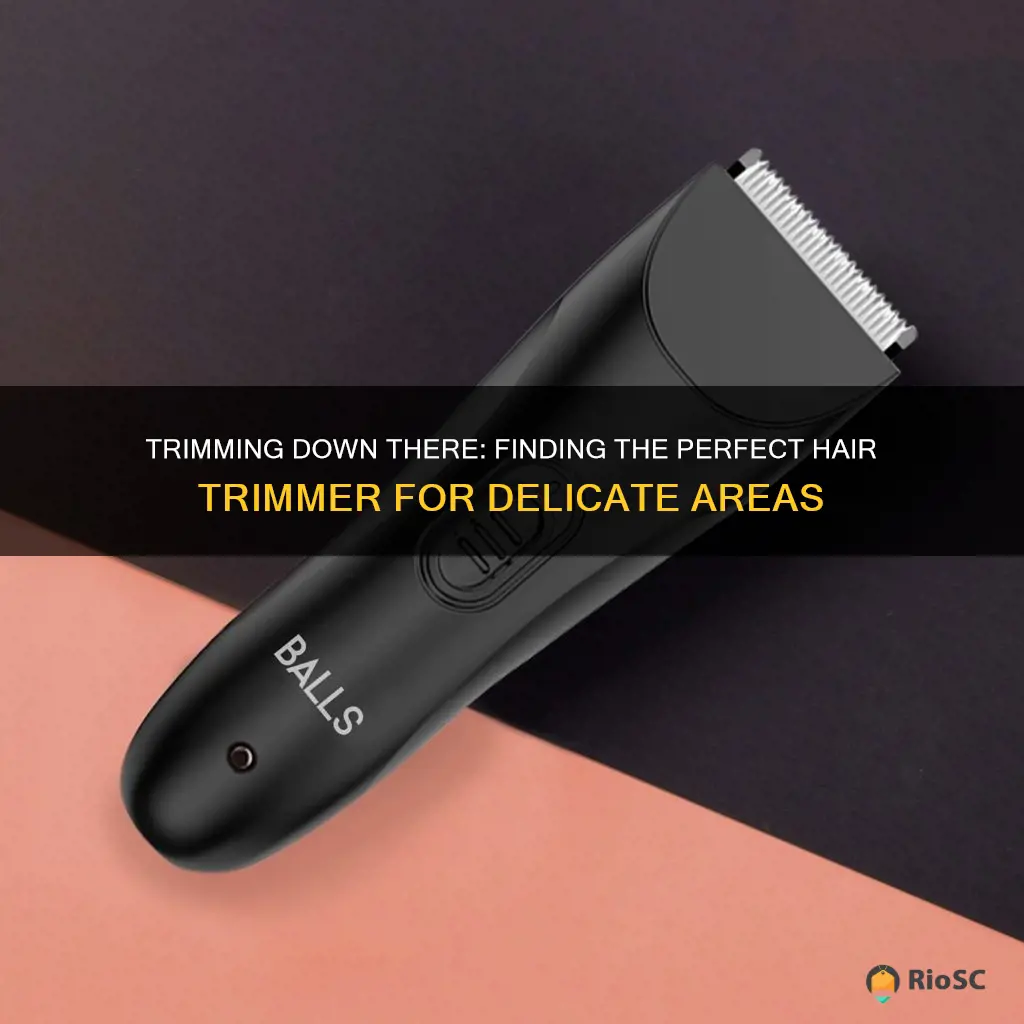 best hair trimmer for balls