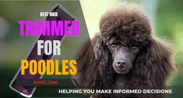 Top Clippers for Poodle Perfection