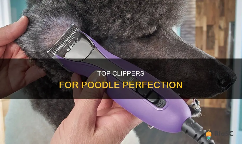 best hair trimmer for poodles