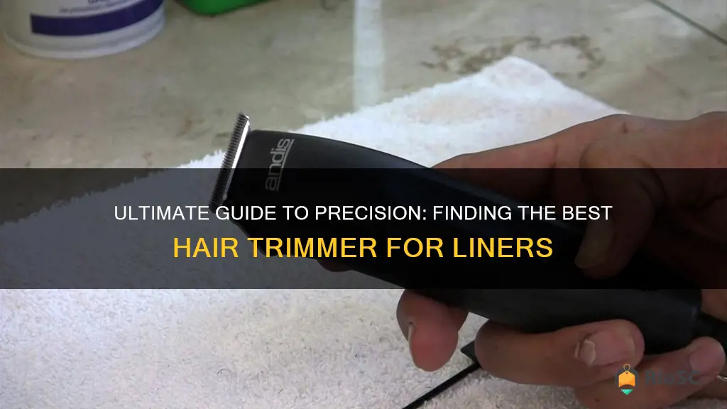 best hair trimmer liner