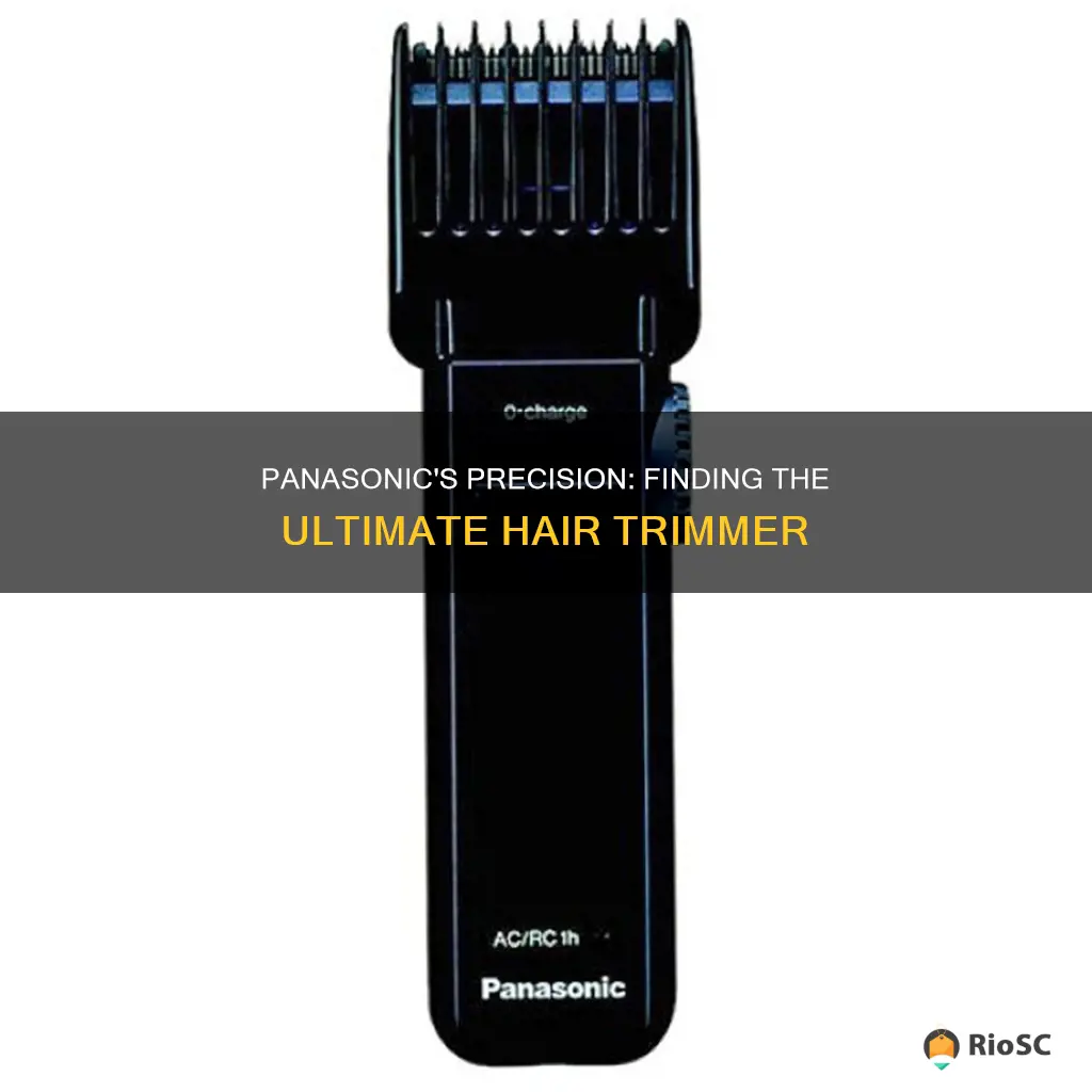 best hair trimmer panasonic