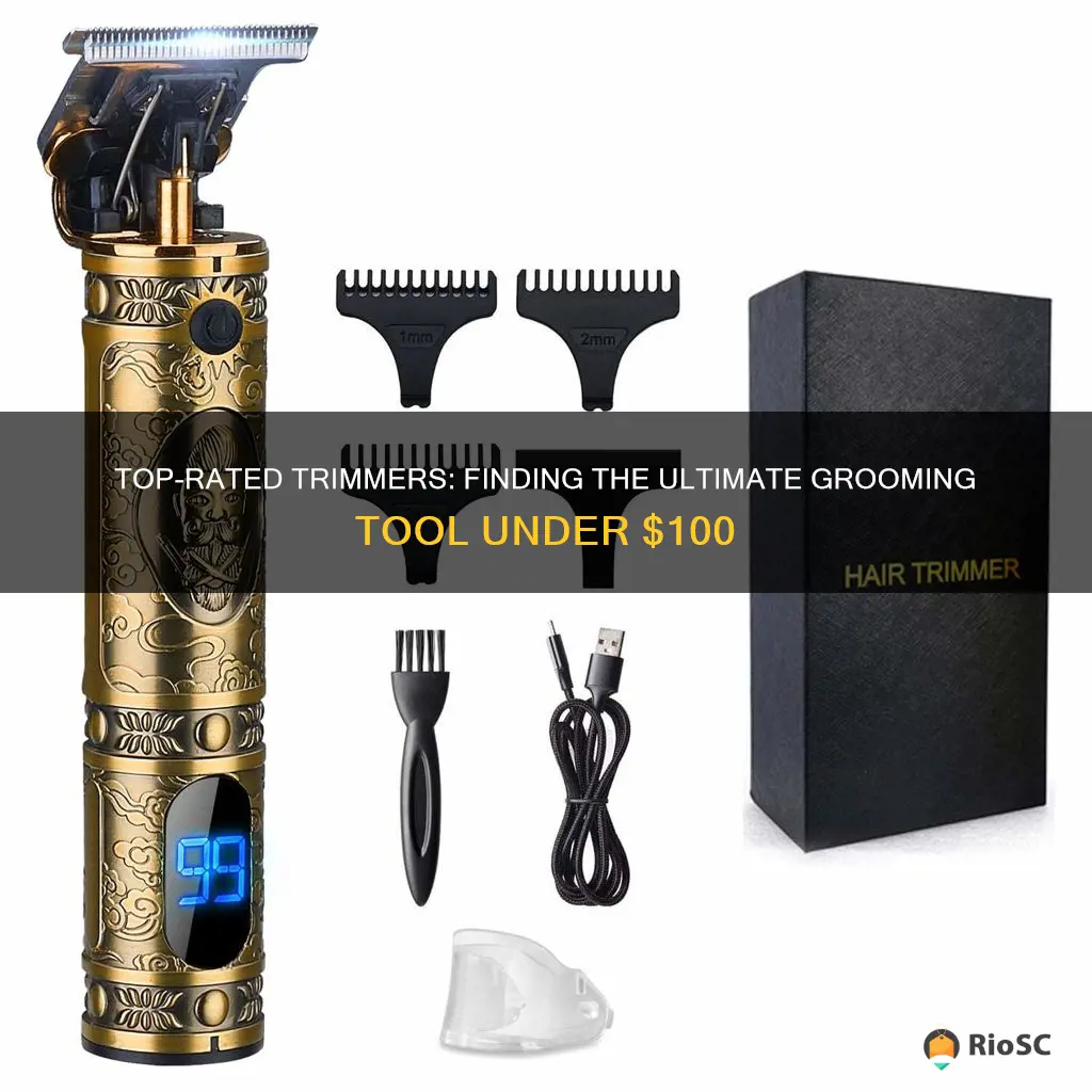 best hair trimmer under 100