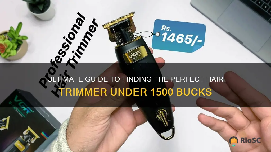 best hair trimmer under 1500