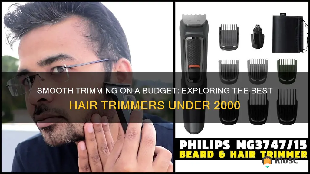 best hair trimmer under 2000