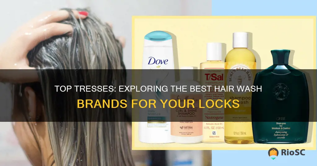 best hair wash brands