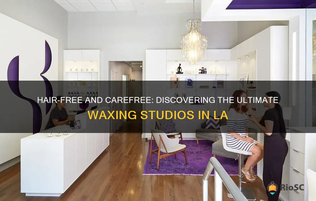 best hair waxing in la