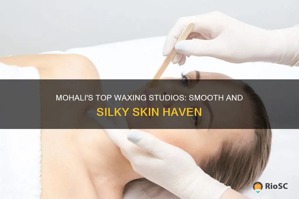 best hair waxing in mohali