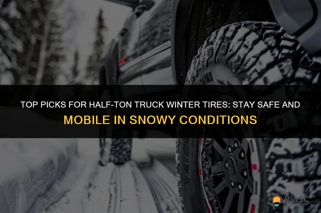 best half ton truck winter tires