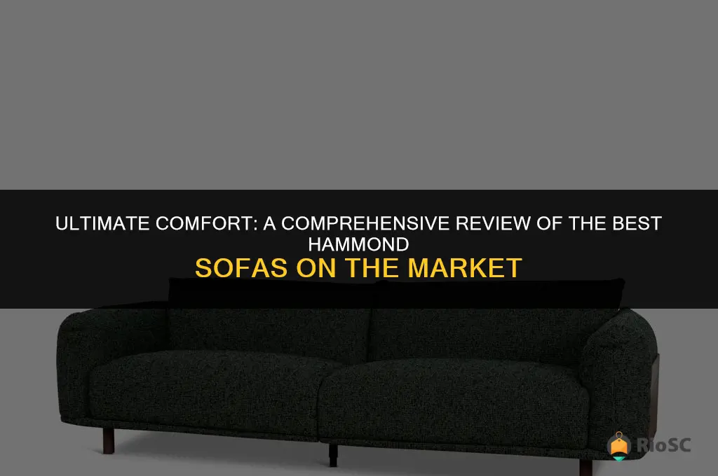 best hammond sofa review