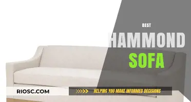 Discover the Ultimate Comfort: Best Hammond Sofa for Your Living Space