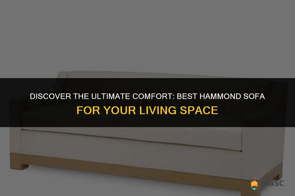 best hammond sofa