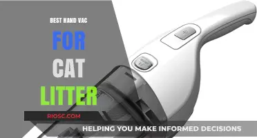 Top Handheld Vacuums for Effortless Cat Litter Cleanup