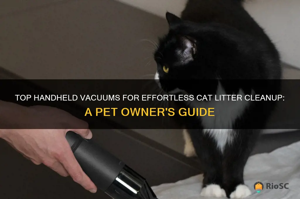 best handheld vacuum cat litter